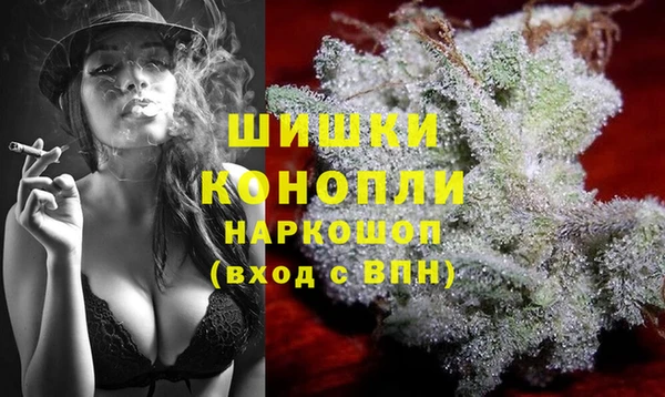 мдпв Магас