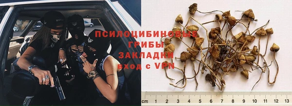 мет Медвежьегорск