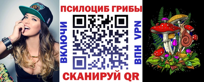 KRAKEN   Орёл  Псилоцибиновые грибы Psilocybine cubensis  наркошоп 